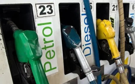 E20 Fuel Can't Be Cheaper Than Pure Petrol. Centre Explains Why